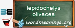 WordMeaning blackboard for lepidochelys olivacea